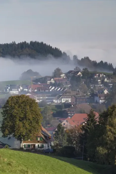 Framed Print : Germany, Baden-Wurttemburg, Black Forest, Horben, town view in morning fog, autumn Framed Print : Germany, Baden-Wurttemburg, Black Forest, Horben, town view in morning fog, autumn