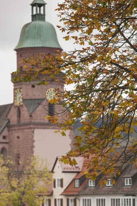 Framed Print : Germany, Baden-Wurttemburg, Black Forest, Freudenstadt, buildings by the Marktplatz, fall Framed Print : Germany, Baden-Wurttemburg, Black Forest, Freudenstadt, buildings by the Marktplatz, fall