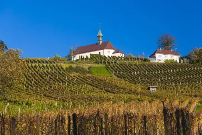 Framed Print : Germany, Baden-Wurttemburg, Black Forest, Gengenbach, vineyards and hilltop chapel, fall Framed Print : Germany, Baden-Wurttemburg, Black Forest, Gengenbach, vineyards and hilltop chapel, fall