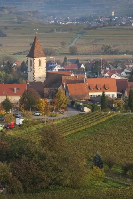 Framed Print : Germany, Baden-Wurttemburg, Burkheim, Kaiserstuhl Area, vineyards elevated village view Framed Print : Germany, Baden-Wurttemburg, Burkheim, Kaiserstuhl Area, vineyards elevated village view