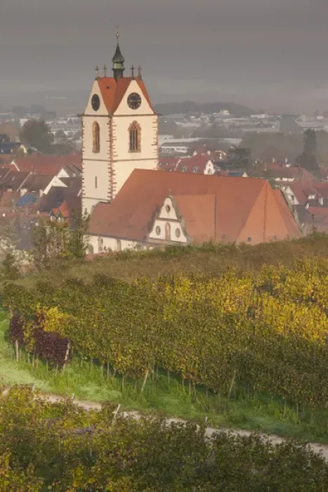 Framed Print : Germany, Baden-Wurttemburg, Kaiserstuhl Area, Endingen, elevated view of the Peterkirche church Framed Print : Germany, Baden-Wurttemburg, Kaiserstuhl Area, Endingen, elevated view of the Peterkirche church
