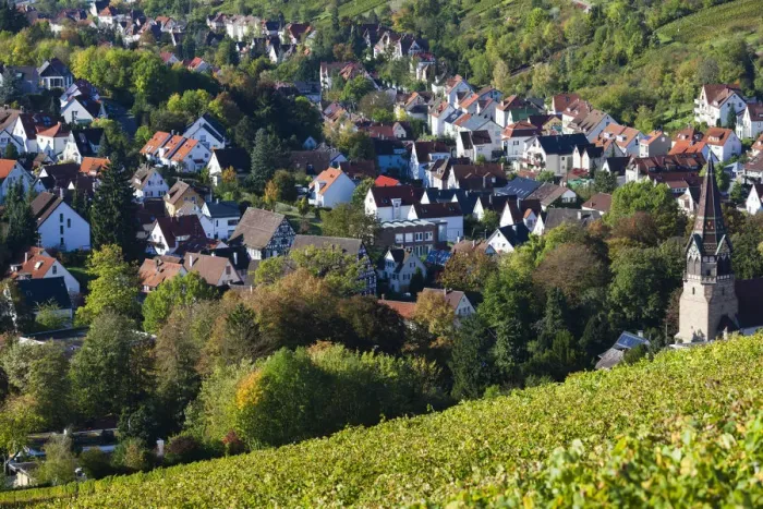 Framed Print : Germany, Baden-Wurttemburg, Stuttgart-Uhlbach, vineyards above Unter-turkheim, fall Framed Print : Germany, Baden-Wurttemburg, Stuttgart-Uhlbach, vineyards above Unter-turkheim, fall