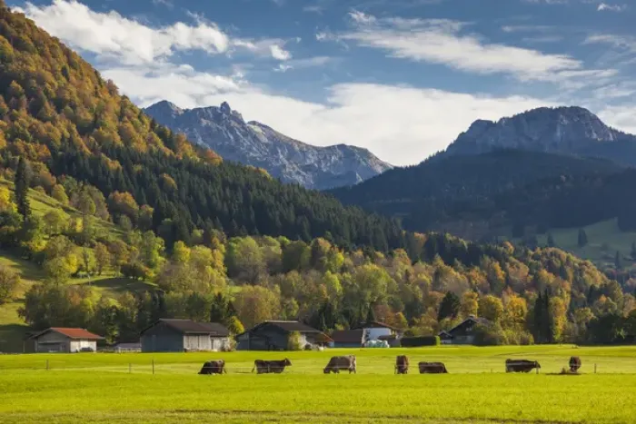 Framed Print : Germany, Bavaria, Halblech, alpine landscape Framed Print : Germany, Bavaria, Halblech, alpine landscape