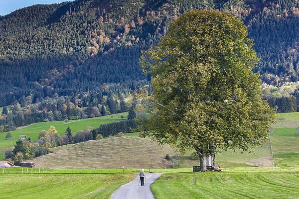 Germany, Bavaria, Halblech, alpine landscape