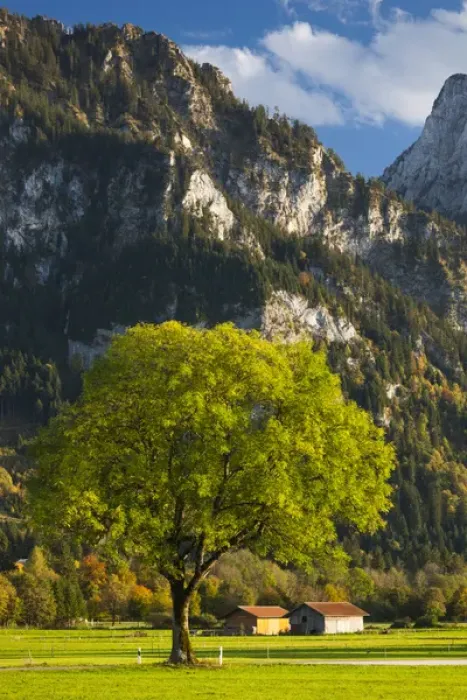 Framed Print : Germany, Bavaria, Hohenschwangau, alpine landscape, late afternoon Framed Print : Germany, Bavaria, Hohenschwangau, alpine landscape, late afternoon