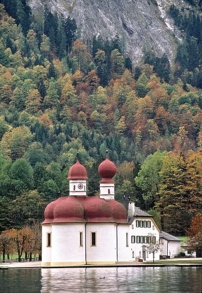 Germany, Bavaria, Konigsee. The quaint Chapel of St. Bartholoma is nestled in a maple