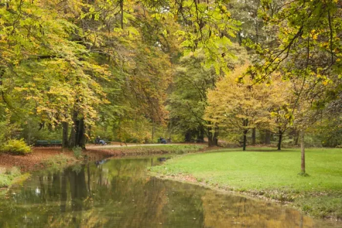 Framed Print : Germany, Bavaria, Munich, Englischer Garten park, fall foliage Framed Print : Germany, Bavaria, Munich, Englischer Garten park, fall foliage