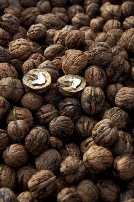 Framed Print : Germany, Bavaria, Passau. Open-air farmers market, walnuts Framed Print : Germany, Bavaria, Passau. Open-air farmers market, walnuts