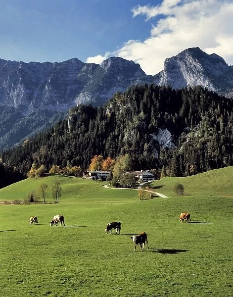 Germany, Bavaria, Ramsau. Chalets offer accommodation and a beautiful view near Ramsau in Bavaria