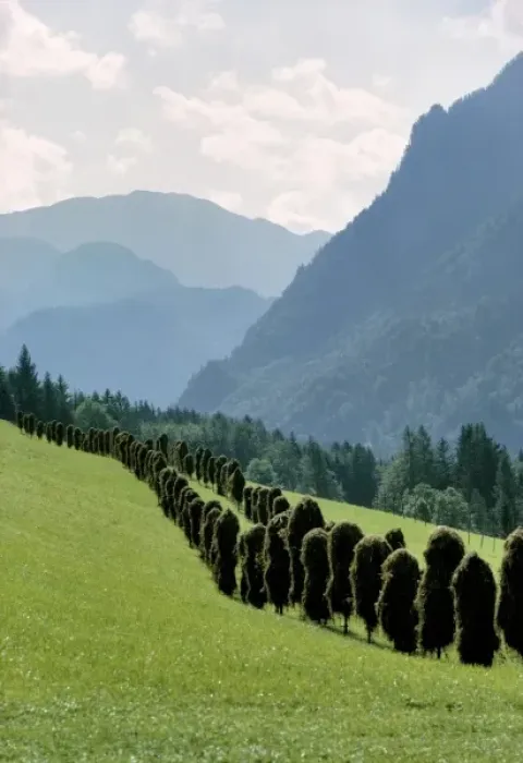 Framed Print : Germany, Bavaria, Ramsau. Harvested hay fills the hillside near Ramsau in Bavaria, Germany Framed Print : Germany, Bavaria, Ramsau. Harvested hay fills the hillside near Ramsau in Bavaria, Germany