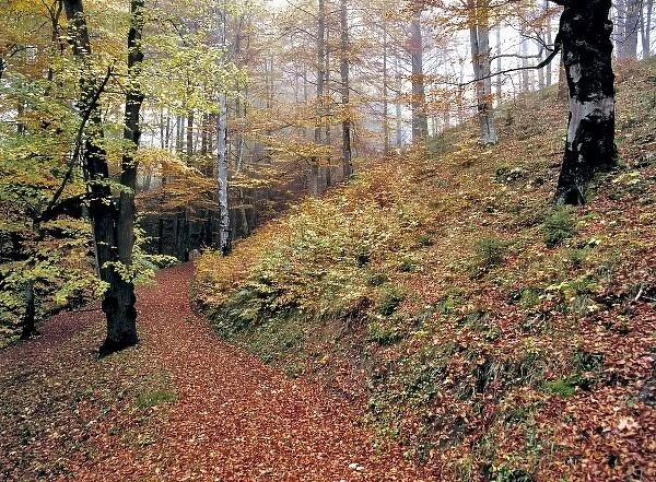 Germany, Bavaria, Ramsau. A trail leads off the Deutsche Alpenstrasse near Ramsau in Bavaria