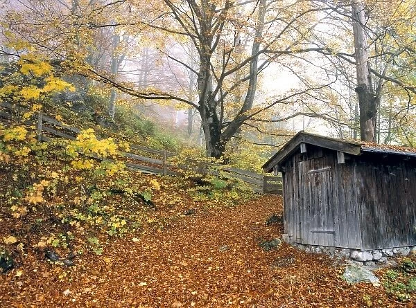 Germany, Bavaria, Ramsau. A wooden shed marks the trail in the forest near Ramsau in Bavaria
