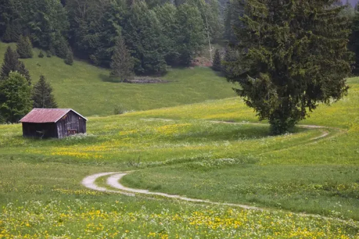 Framed Print : GERMANY, Bayern-Bavaria, Deutsche Alpenstrasse, Bad Hindelang. Alpine field with cabin