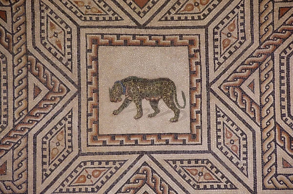 Germany, Cologne. Roman Germanic Museum. Dionysos Mosaic, 2nd century masterpiece