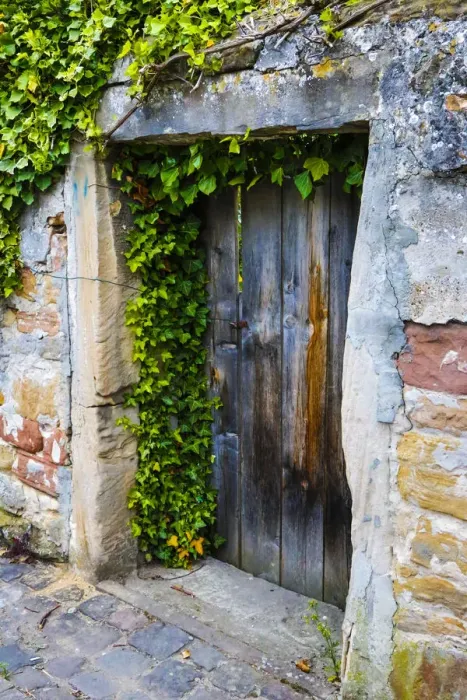 Framed Print : Germany, Freinsheim, Old Doorway