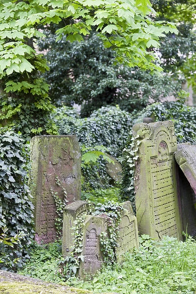 GERMANY, Hessen, Frankfurt am Main. Frankfurt Jewish cemetery, Old Jewish cemetery