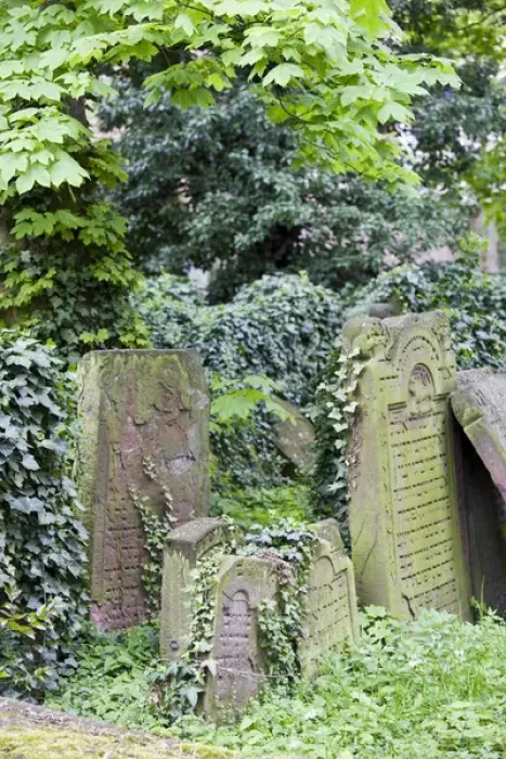 Framed Print : GERMANY, Hessen, Frankfurt am Main. Frankfurt Jewish cemetery, Old Jewish cemetery