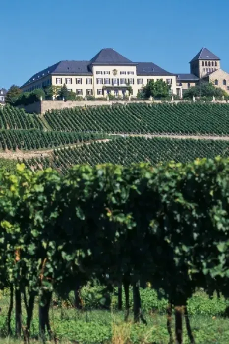 Framed Print : Germany, Johannisberg, Rheingau region, Schloss Johannisberg vineyard exclusively produces Riesling