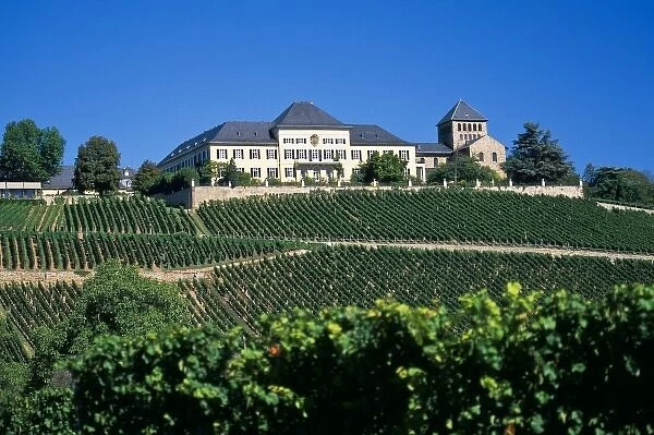 Germany, Johannisberg, Rheingau region, Schloss Johannisberg vineyard exclusively produces Riesling