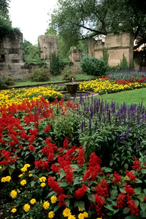 Framed Print : Germany Koblenz Old Town by Rhine River St Kastor Church flower gardens