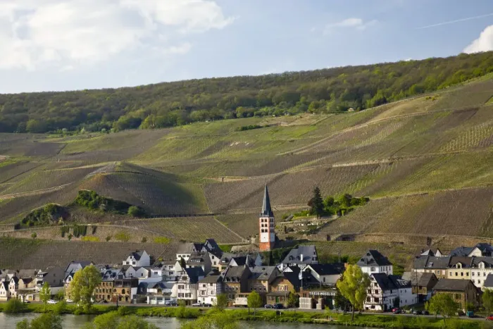 Framed Print : GERMANY, Rheinland-Pfaltz, Mosel River Valley, Zell am Mosel. Town view Framed Print : GERMANY, Rheinland-Pfaltz, Mosel River Valley, Zell am Mosel. Town view