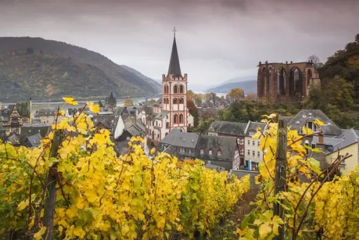 Framed Print : Germany, Rheinland-Pfalz, Bacharach, elevated town view, autumn Framed Print : Germany, Rheinland-Pfalz, Bacharach, elevated town view, autumn