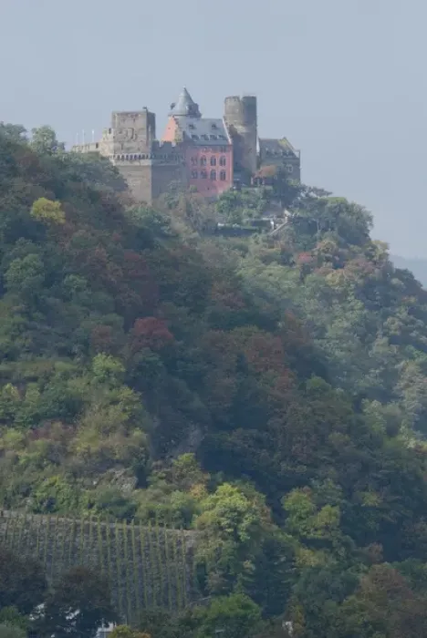 Framed Print : Germany, Rhine River. View along the Rhine River near Oberwesel (mile marker 550) Framed Print : Germany, Rhine River. View along the Rhine River near Oberwesel (mile marker 550)