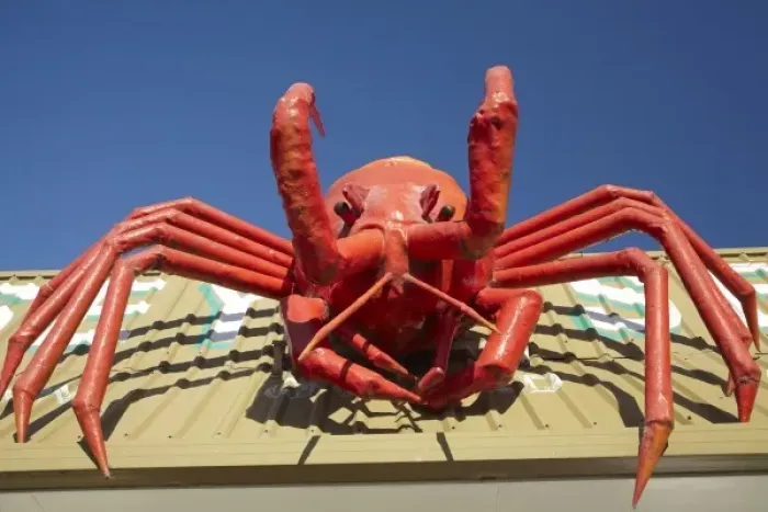 Framed Print : Giant Lobster, Stanley, Northwest Tasmania, Australia
