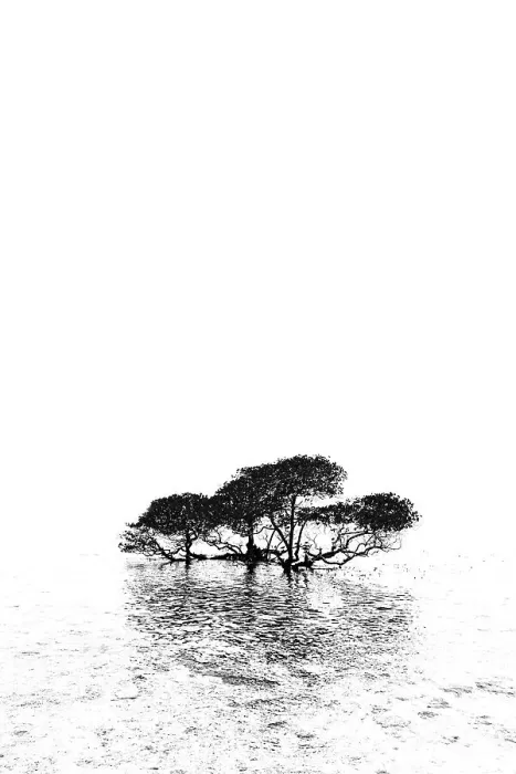 Framed Print : Gili Trawangan Island off the coast of Lombok, Indonesia. White sand, clear warm water with a laid back tropical atmosphere Framed Print : Gili Trawangan Island off the coast of Lombok, Indonesia. White sand, clear warm water with a laid back tropical atmosphere