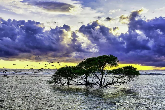 Framed Print : Gili Trawangan Island off the coast of Lombok, Indonesia. White sand, clear warm water with a laid back tropical atmosphere Framed Print : Gili Trawangan Island off the coast of Lombok, Indonesia. White sand, clear warm water with a laid back tropical atmosphere