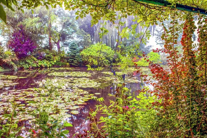 Framed Print : Giverny, France. Landscape view of Claude Monet's famous Japanese water garden Framed Print : Giverny, France. Landscape view of Claude Monet's famous Japanese water garden