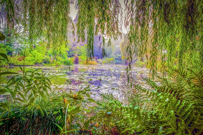Framed Print : Giverny, France. Landscape view of Claude Monet's famous Japanese water garden