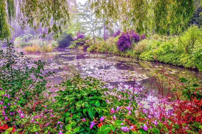 Framed Print : Giverny, France. Landscape view of Claude Monet's Japanese water gardens in the village of Giverny Framed Print : Giverny, France. Landscape view of Claude Monet's Japanese water gardens in the village of Giverny