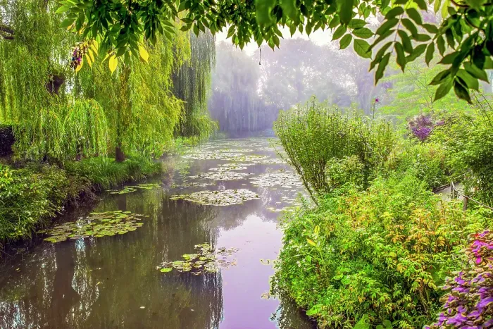 Framed Print : Giverny, France. Landscape view of Claude Monet's Japanese water gardens in the village of Giverny Framed Print : Giverny, France. Landscape view of Claude Monet's Japanese water gardens in the village of Giverny