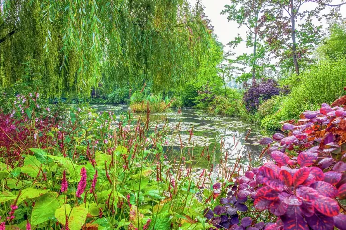 Framed Print : Giverny, France. Landscape view of Claude Monet's Japanese water gardens in the village of Giverny Framed Print : Giverny, France. Landscape view of Claude Monet's Japanese water gardens in the village of Giverny