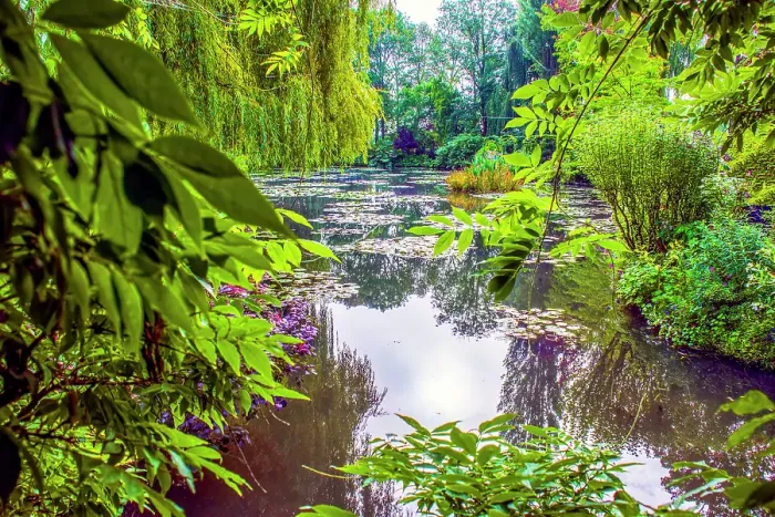Framed Print : Giverny, France. Wide angle landscape view of Claude Monet's Japanese water gardens in the village of Giverny Framed Print : Giverny, France. Wide angle landscape view of Claude Monet's Japanese water gardens in the village of Giverny