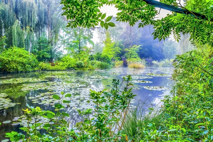 Framed Print : Giverny, France. Wide angle view of Claude Monet's Japanese water gardens in the village of Giverny