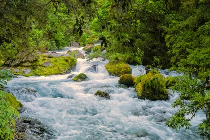 Framed Print : Glacial Stream: Milford Sound, New Zeland Framed Print : Glacial Stream: Milford Sound, New Zeland
