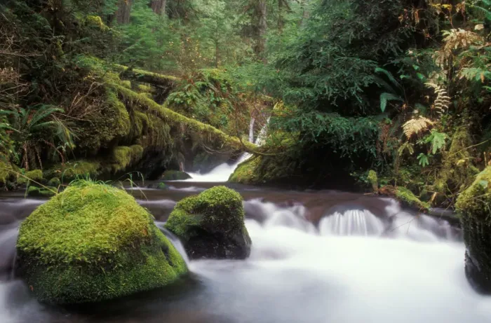Framed Print : Glacier Creek, Gifford Pinchot National Forest Framed Print : Glacier Creek, Gifford Pinchot National Forest