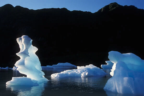 glaciers in Bear Glacier Lake, Kenai Fjords National Park, Alaska