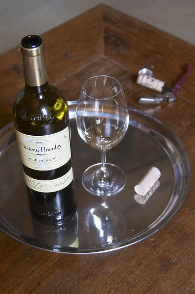 A glass of white vintage 2004 with the bottle and the cork and corkscrew, Chateau