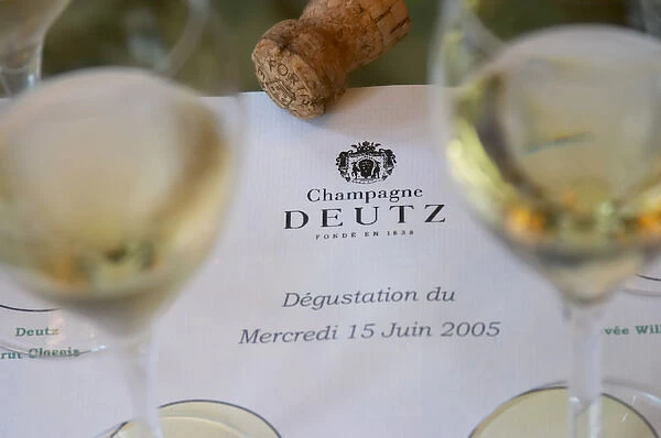Glasses of champagne set on a white background for a tasting of the range of wines