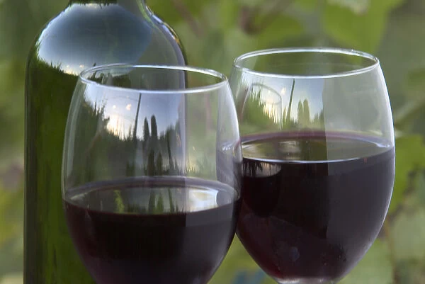 Two glasses of Pinot Noir wine with bottle in front of Pinot Noir grape vines in the Sherwood area