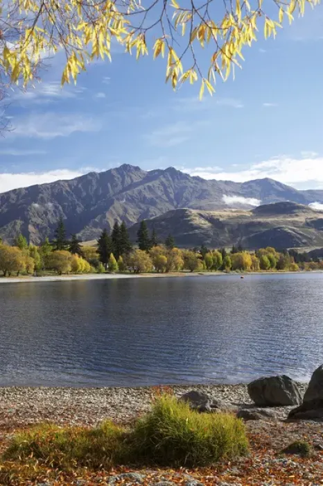 Framed Print : Glendhu Bay, Lake Wanaka, Otago, South Island, New Zealand