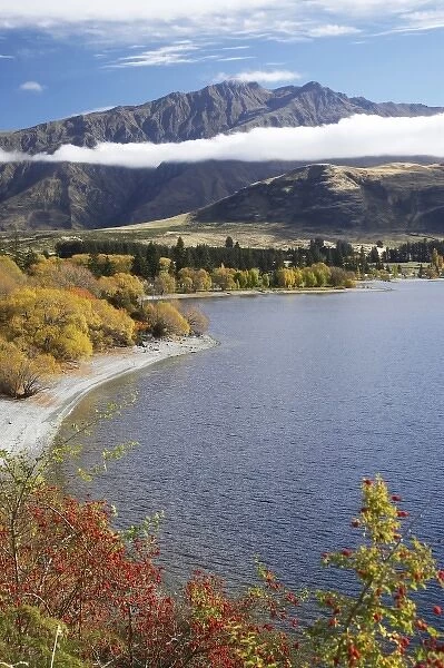 Glendhu Bay, Lake Wanaka, Otago, South Island, New Zealand