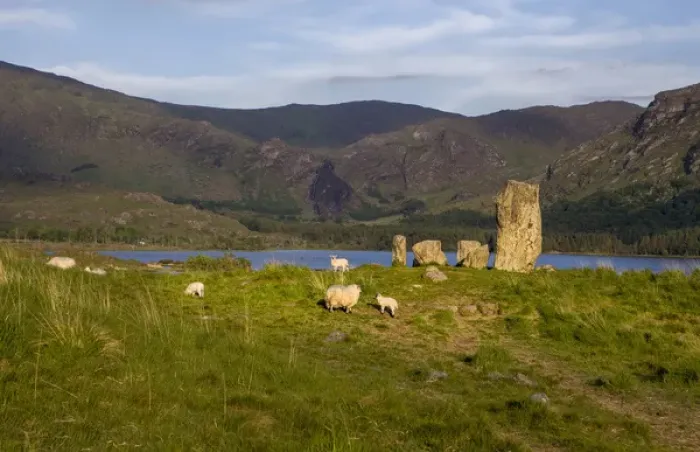 Framed Print : Glengarriff, Ireland, Uragh Stone Circle. Sheep gathering Framed Print : Glengarriff, Ireland, Uragh Stone Circle. Sheep gathering