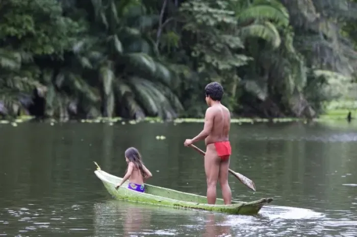 Framed Print : Goa Panama. A Wounaan father and daughter canoing down the charges river in the rain Framed Print : Goa Panama. A Wounaan father and daughter canoing down the charges river in the rain
