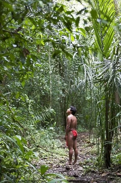 Goa, Panama. A young Wounaan Indian man searching for wildlife in the rain forest of Panama