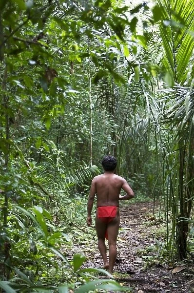 Goa, Panama. A young Wounaan Indian man walking in the rain forest of Panama. (MR)