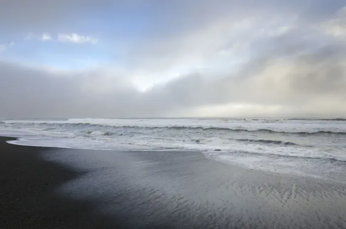 Framed Print : Gold Bluffs Beach, Prairie Creek Redwoods State Park, California